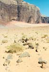 A wayside grave in the desert - the bedu are buried near known tracks